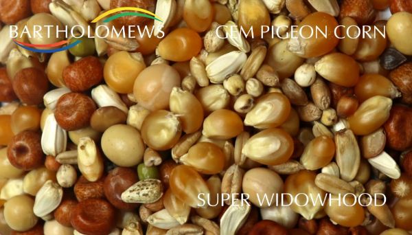 Picture of Gem Pigeon Super Widowhood Mix 20kg