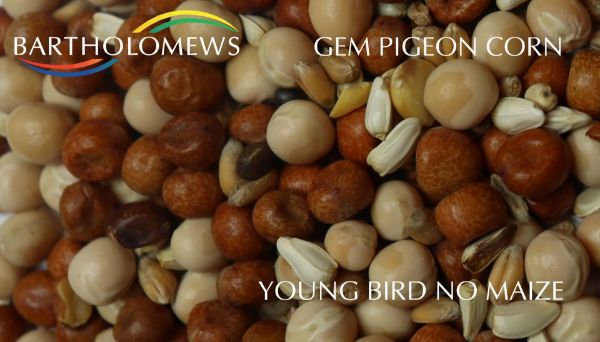 Picture of Gem Pigeon Young Bird No Maize 20kg