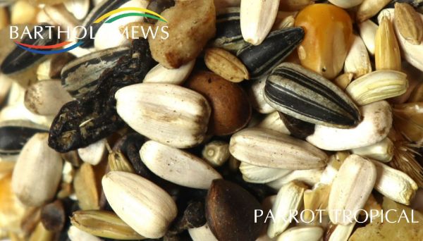 Picture of Colonels Parrot Mix Tropical 12.5kg