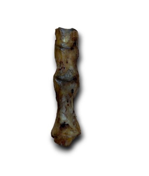 Picture of Anco Naturals Ostrich Foot