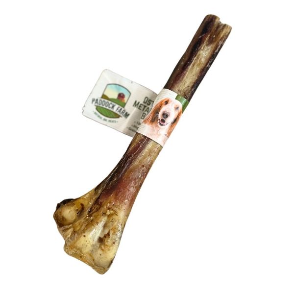 Picture of Paddock Farm Ostrich Metatarsus Bone