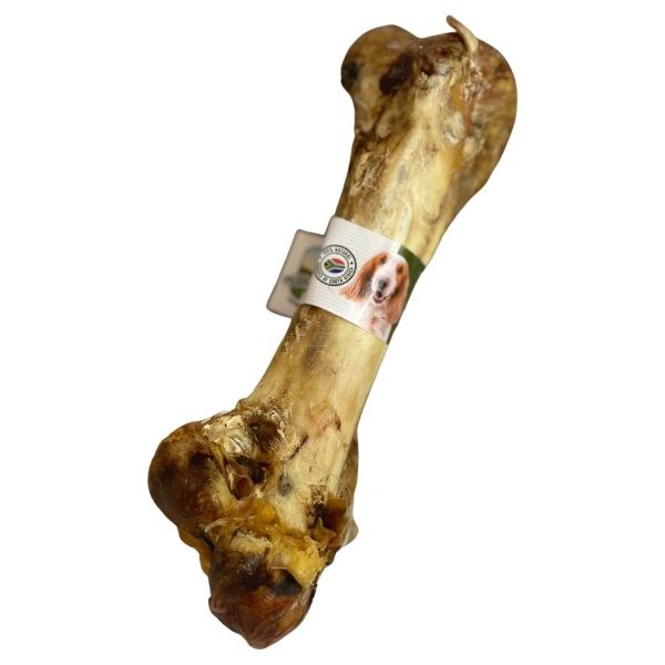 Picture of Paddock Farm Ostrich Dino Bone